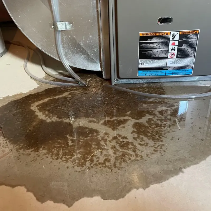 Pipe Burst and Leak Restoration in Ritchie County, WV