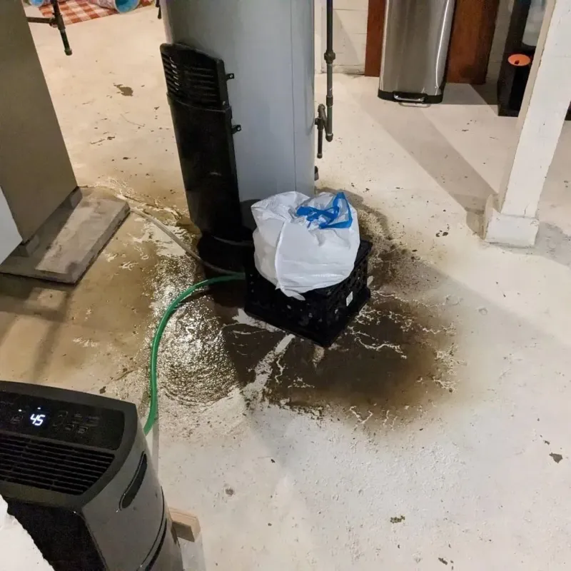 Sewage Backup Cleanup Service in Ritchie County, WV